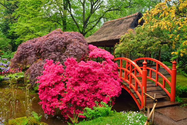 Japanese Garden Festival 2026