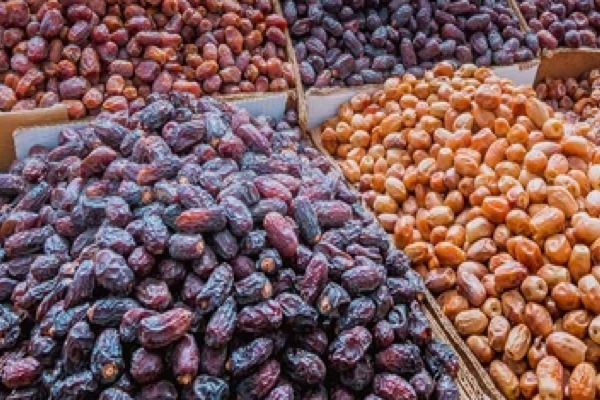 Saudi Premium Dates Producer Seeking Distributors in the Netherlands and Europe